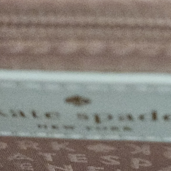 Kate Spade New York 'New Horizons Cactus Little Len Island Waters' Leather Tote - Picture 9 of 15